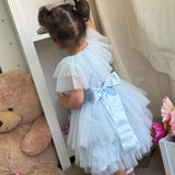 Abito Smanicato In Tulle Plissettato Bambina PETIT POSH 007VE