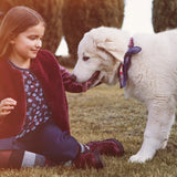 Camicia a Pois Bambina Blu-Rosso Sarabanda R473 - SARABANDA - LuxuryKids