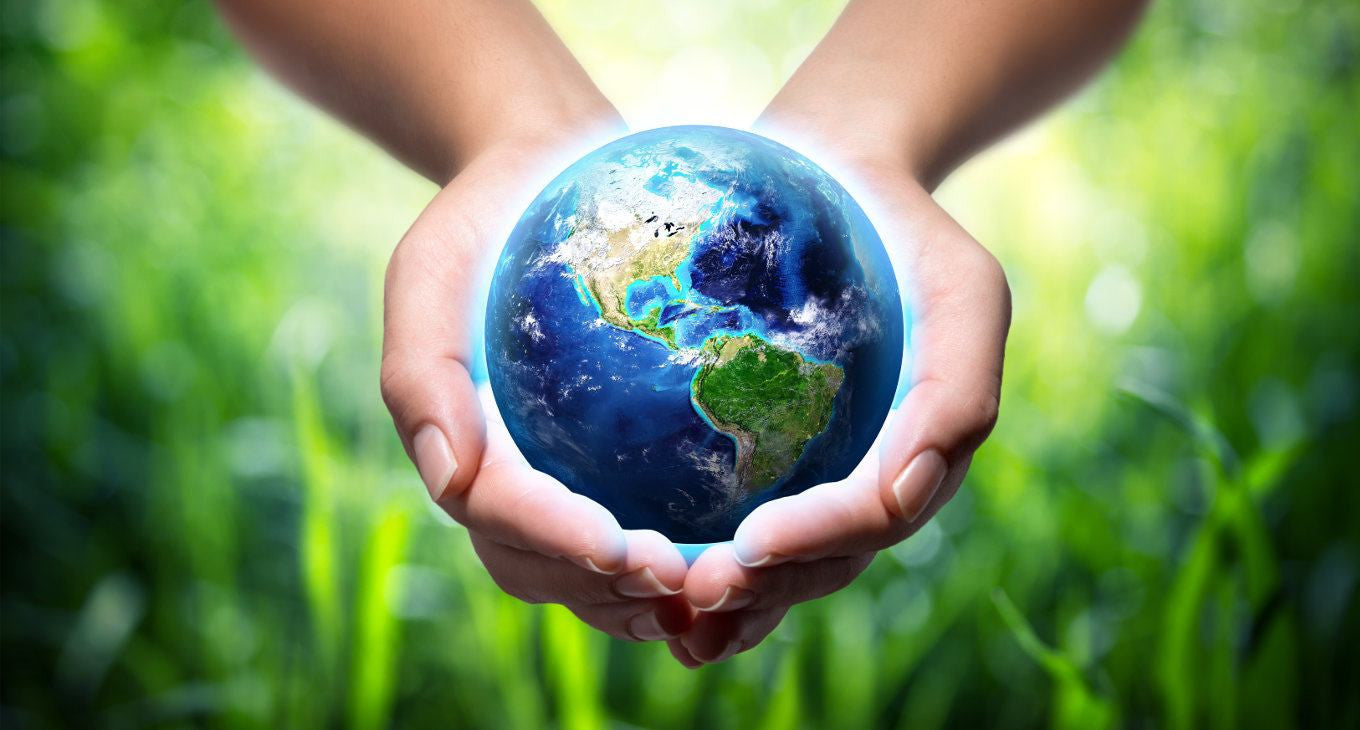 Rispetto per l'ambiente