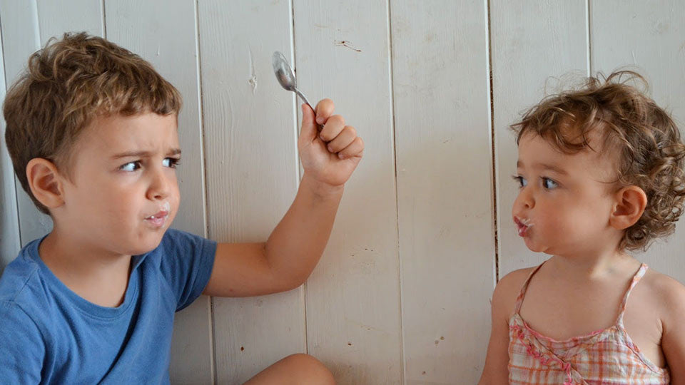 La gelosia tra fratelli, di cosa si tratta?