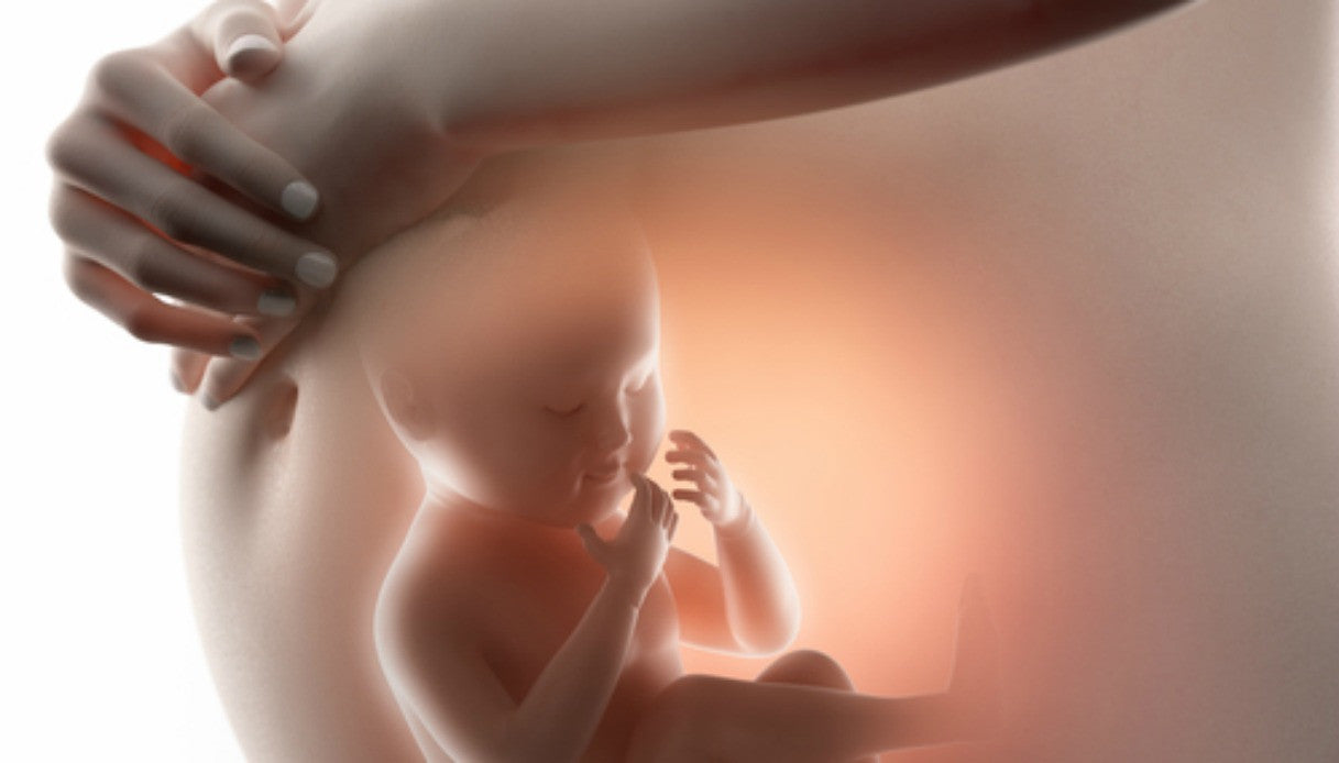 Quindicesima settimana di gravidanza