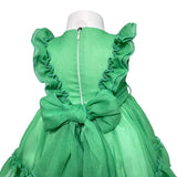 Abito Elegante Smanicato In Organza Neonata BUFI B0279A