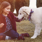 Camicia a Pois Bambina Blu-Rosso Sarabanda R473 - SARABANDA - LuxuryKids